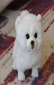 Pommeren knuffel Hond pop Simulatie Knuffel Super realistisch Voor huisdier Kawaii Verjaardagscadeaus voor kinderen 2107289666424