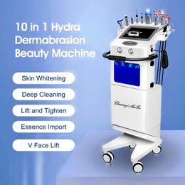 Machine de soins de la peau multifonction 10 en 1, exfoliante pour la peau, améliore la matité de la peau, instrument de gestion de l'hydra-dermabrasion