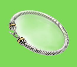 Bracelet en fil de titane populaire en forme de crochet en or, câble en acier inoxydable, Bracelet pour femmes 039s 3792300