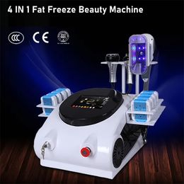 Portable 4 en 1 cryolipolyse Fat Freeze Slimming Machine Lipolaser RF 40k Fat Burning Cavitation Vacuum Beauty Salon