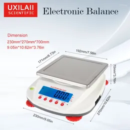 Portable Balance Fabricage volledige verkoopprijs 0,01G Resolutie Elektronische schaal