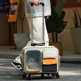 Étui portable de transport pour animaux de compagnie avec une boîte d'aviation pour animaux de compagnie de grande capacité, un chat en plein air et des bagages pour chiens de grande capacité Push-Pull Pet Crate 2024 Nouveau 429