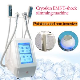 Draagbare cryo thermische vetreductie ems toning cryotherapie cryo t-shock lichaam afslank cryoskin voor gezicht lichaam