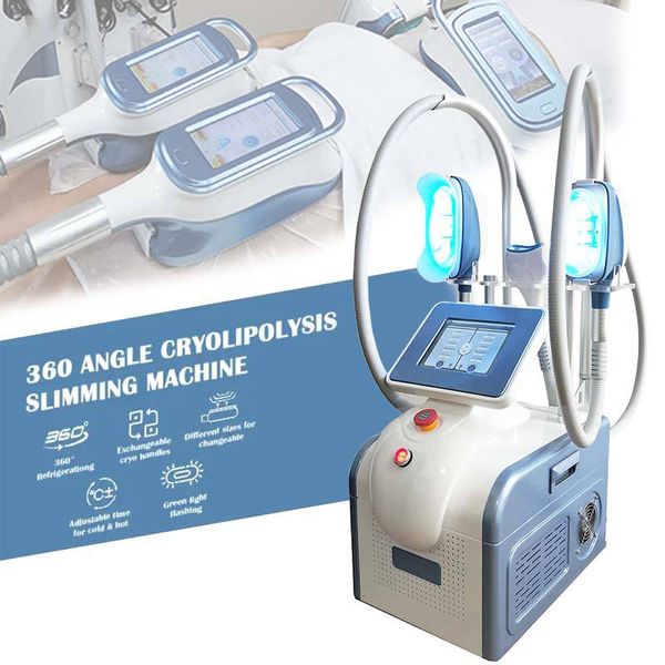 Machine portative de congélation de graisse de cryolipolyse de machine de cryothérapie pour la perte de poids et le raffermissement de la peau