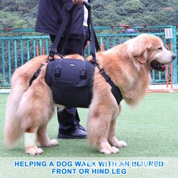 Élingue de chiens portable pour les jambes arrière harnais de soutien à la hanche plus ancienne LIMPING AID CHIG AIDE AIDE RÉDABILITATION DES LASHES DES LASHES 240506