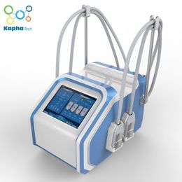 Portable EMS avec Cryolipolysis Fat Freezing Slimming Machine pour perdre du poids