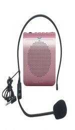 Mini haut-parleur Portable amplificateur vocal Portable son stéréo naturel Microphone haut-parleur pour la parole du Guide touristique K1009693096