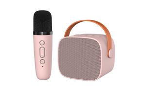 Portable Mini Wireless Microfoon Integrated Bluetooth Sound Outdoor Karaoke Home Microfoon Set