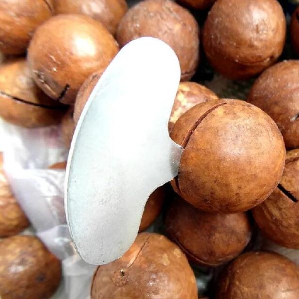 Desgranadora portátil de nueces, nueces de MACADAMIA, abridor de llaves de Metal, nuevo dispositivo para tuercas, herramienta de cocina