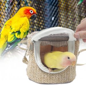 Petable Pet Bird Parrot Transport Cage Small Animal Accessoires extérieurs Sac de voyage de porc de Guinée 240412