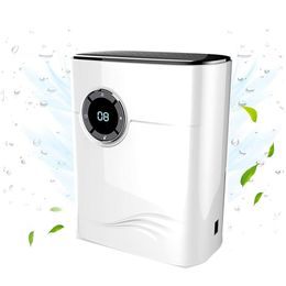 Déshumidificateur portable haut de gamme avec purificateur d'air à ions négatifs – Sécheur d'air économe en énergie pour la maison, la cuisine et la pièce – Technologie d'absorption d'humidité de 1 200 ml