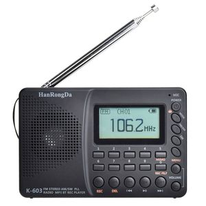 Portable Radio Receiver Telescopic Antenne Volledige band AM/FM/SW/BT/TF Pocket Radio Player voor Elder USB MP3 Digitale recorderondersteuning TF -kaart Bluetooth