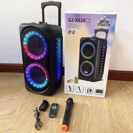 Haut-parleurs portables 300W 8 pouces Main Push Extérieur Subwoofer Boom Portable Double FM Sans Fil Karaoké Partie Haut-Parleur Bluetooth Anneau de Lumière LED avec Micro R230227