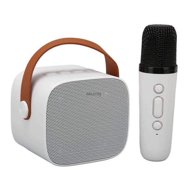 Haut-parleurs portables Ensemble de microphones haut-parleur Bluetooth HD stéréo rechargeable Mini machine de karaoké rétro portable pour enfants adultes fête YQ240106