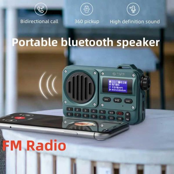 Haut-parleurs portables BV800 HD Sous-titre Affichage FM Radio Radio Repeat Bluetooth En haut