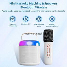 Draagbare luidsprekers Draagbare Bluetooth-luidspreker met microfoon Karaokefunctie Draadloze luidspreker Mini draagbare karaokebox met dubbele microfoon HKD230905