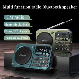 Draagbare luidsprekers SanSui Multimedia Radio Draadloze Bluetooth Draagbare kaart Digitale muziek Outdoor Camping R230731