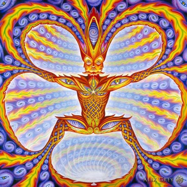 Póster 24x24 13x13 Trippy Alex Grey, póster de pared impreso, decoración de pared para el hogar, pegatinas, póster, calcomanía, 058222r