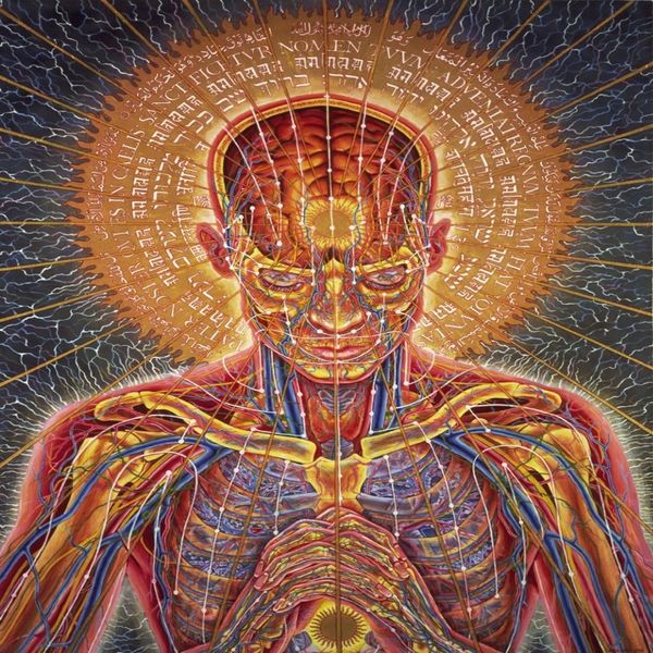 Póster 32x24 17x13 Trippy Alex Grey, póster de pared impreso, decoración de pared para el hogar, pegatinas, póster, calcomanía, 003273D