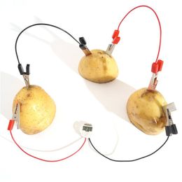 Potato Fruit Biologia Energy Generate Electricity Science Experiment Toys pour enfants