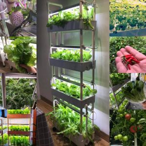 Macetas de 4 capas, 56 agujeros, kit completo de sistema de cultivo hidropónico vertical, macetero de jardín para el hogar con luz LED para verduras de fresa