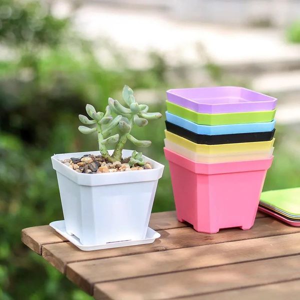 Pots en plastique grands coins arrondis, petit pot de fleur carré noir givré succulent épaissi, pot inséré de feuille blanche, mini pot de plante