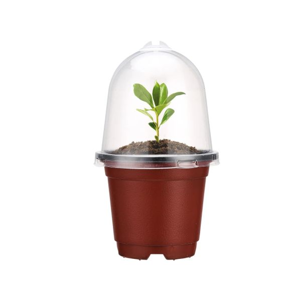 Pots de semis avec dômes d'humidité, pot de fleurs rouge, outils réutilisables en plastique PP blanc, accessoires durables, fournitures de jardin, 10 pièces