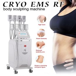 Machine de réduction de la réduction de graisse cryo puissante avec cryo EMS RF Technology 8 cryo-pads Fat Freezing Beauty Instrument for Salon