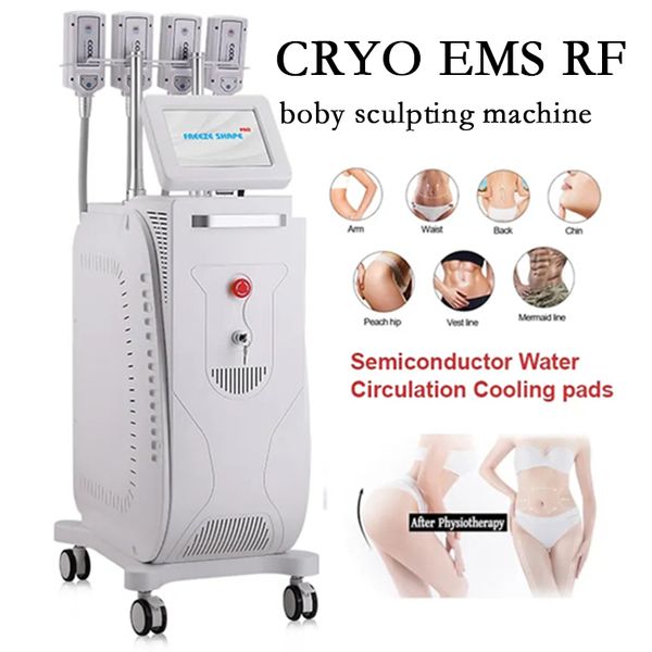 Puissant Cryo Fat Reduction Corps Amincissant la machine Non-Vacuum Cryo plate Cellulite Removal Freeze Beauty Equipment avec FDA Approved