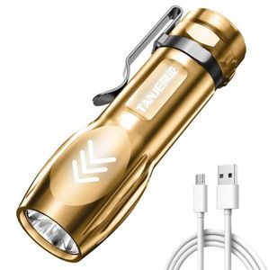 Krachtige draagbare mini-LED zaklamp Waterdichte ultra sterk licht ingebouwde batterij USB oplaadbare aluminium fakkel met clip toorts