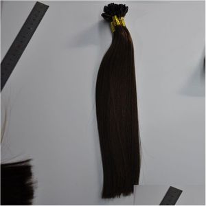 Pre-Bonded Hair Extensions 0 9G Strand 200 Strengen Pre Bonded Nail U Tip Indian Humanhair 14 16 18 20 22 24 26Inch 1B 2 4 Drop Leveren Dhgbb