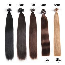 Pre-Bonded Hair Extensions 1G S 100G Pack 14 24 100 Human U Tip Remy Peruvian Straight Wave Nail 5 Kleuroptie Drop Delivery Producten Dh9Sp