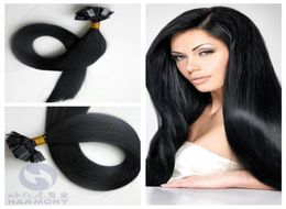 Extensions de cheveux pré-collées 1gstrand 50gpcs couleur noire 1 pointe plate karetin droite 100 extension de cheveux humains 8953082
