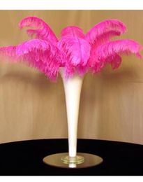 Prefecto Natural Pink Ostrich Feather 1012 pulgadas Decoración de la boda Central de bodas Decoración de la fiesta Suministro7886285