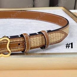 Cinturón tejido de paja de primera calidad para mujer, 2,5 cm de ancho, cinturones con caja de regalo