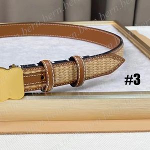 Cinturón tejido de paja de primera calidad para mujer, cinturón de 2,5 cm de ancho, cinturones con caja de regalo, regalo de Navidad