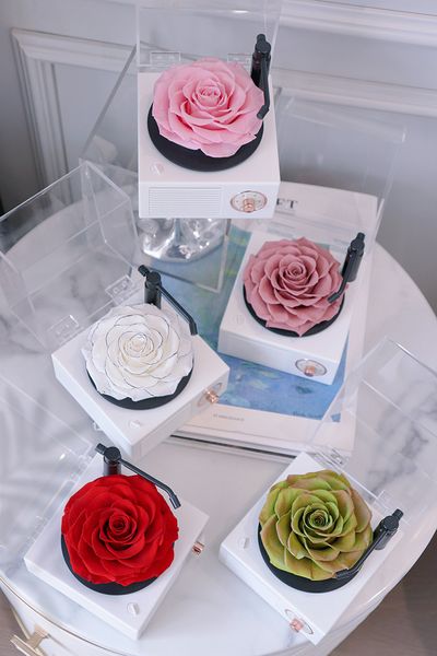 Conférencier Bluetooth éternel préservé Boîte de cadeaux Rose Créatic Crées ANNIVERSAIRE ANNIVERSAIRE DU Valentin Gift de Noël Real Flower Bluetooth Conférencier