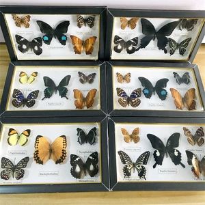 Mooie vlinder Real Specimen Education Material Collection / Butterfly Artwork Decor 211101