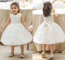 Jolie robe de bal en dentelle robes de fille de fleur pour anniversaire de fête de mariage avec des fleurs 3D bijou cou petite fille bébé douche première communion tenue de soirée avec ceinture CL2039