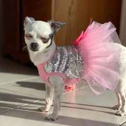 Robe de chien princesse Summer Bright Shirt TUTU JUPT Vêtements pour chiens pour Yorkie Chihuahua Shih Tzu Bowknot Mariage Party Costume 240416