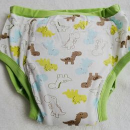 Big Green Green Dinosaur Training Pant Abdl Tissu couches adultes Baby Diaper LoverUnderPantsnappies6940670