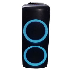 Caja de altavoz privada Dual de 10 pulgadas, sistema PA inalámbrico, caja de altavoz para fiesta en escenario, altavoz recargable para exteriores de gran potencia de 100 vatios