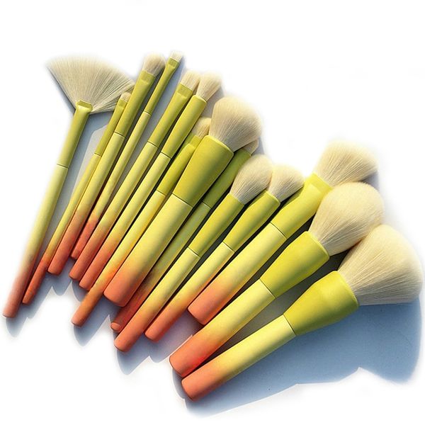 Pro Gradient Color 14pcs Pinceaux de maquillage Set Doux Cosmétique Poudre Mélange Fond de Teint Fard à Paupières Blush Brush Kit Make Up Tools 220623