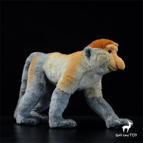 Prochoscis singe anime mignon peshie nez singe toys toys animaux réel simulation peluche poupée kawai jouet cadeaux 240325