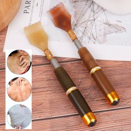 Producten 1 PC Uitbreidbare magnetische balhackle Back Scratcher met magneet Telescopische krabbackscratcher Massager Back Scraper