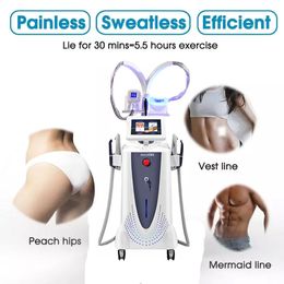 Professionele 2 IN 1 EMS Body Sculpt Cryo Therapie Gewichtsverlies Spierstimuleren Vetverbranding Cellulitis Vermindering Emslim Machine