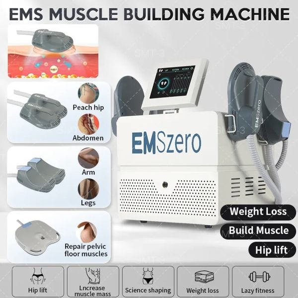 Articles de beauté professionnels Stimulateur HI-EMT DLS-Emslim Machine Emszero à l'entraîneur musculaire électromagnétique Équipement de beauté EMT Body Sculpting Shaping
