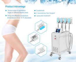 Professionelle Kryotherapie 360 Kryo-Schlankheitsmaschinen Fettentfernung Gewichtsverlust Schönheitssalonausrüstung
