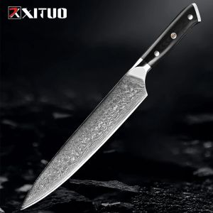 Couteau de chef Damas professionnel 9 pouces Couteau de cuisine Full-Tang G10 Handle Cooking Knife japonais 67 couches VG10 Steel Chef Knife