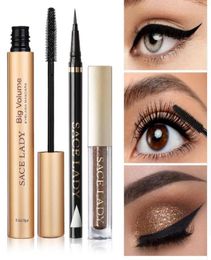 Set de maquillage des yeux professionnels Set à fard à paupières Black Eyeliner Mascara Mascara Kit de fard à paupières Marque imperméable Cosmetic5146386